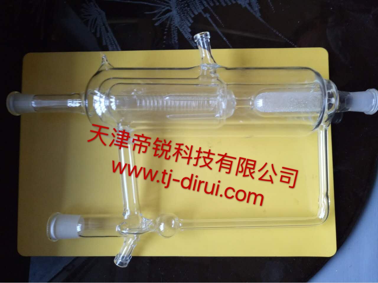 玻璃汽液平衡釜 (2).jpg