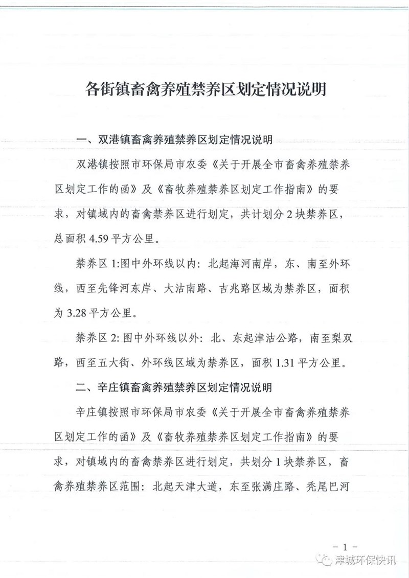 猪3.jpg