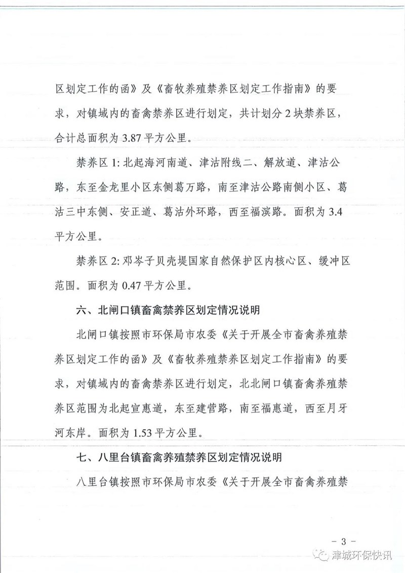 猪5.jpg