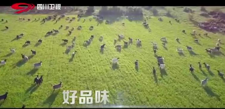 四川卫视-凯美多羊奶粉