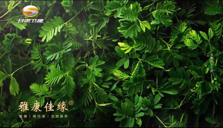 甘肃卫视-雅康佳缘化妆品
