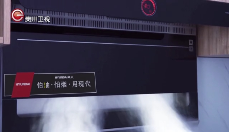 贵州卫视-现代厨卫拜年