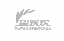 ISO认证公司