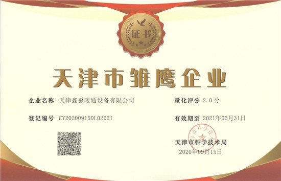 雏鹰企业证书17.jpg